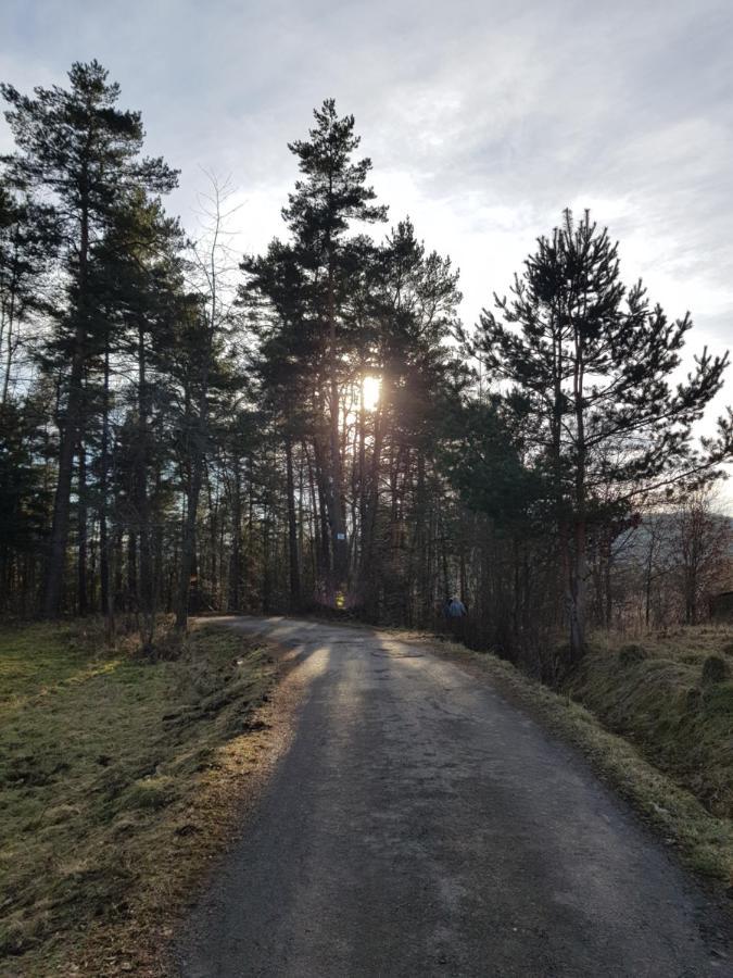 Domek Na Folwarku Tarnawa Dolna  Exteriér fotografie