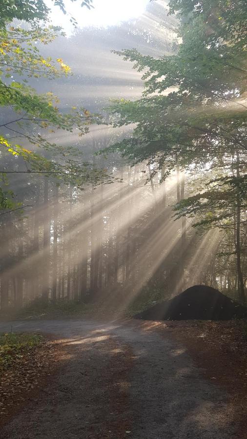 Domek Na Folwarku Tarnawa Dolna  Exteriér fotografie