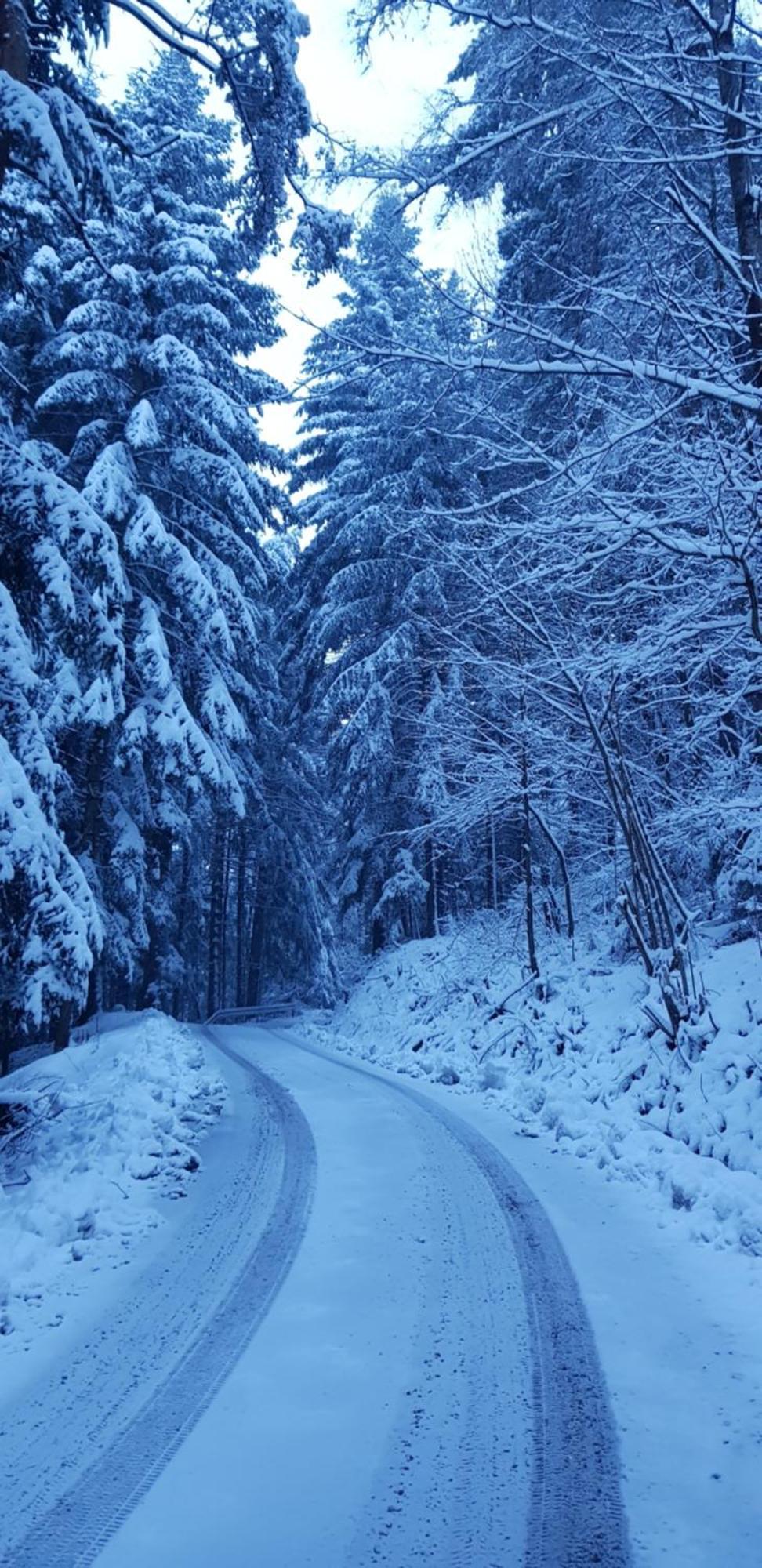 Domek Na Folwarku Tarnawa Dolna  Exteriér fotografie